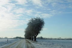 Mecklenburg