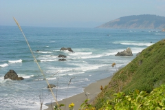 DSC06139