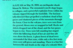 USA200334