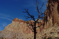 USA2003360