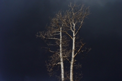 USA2003384