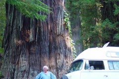 USA2003455