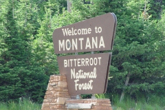 USA200346