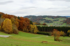 Bayrischer Wald