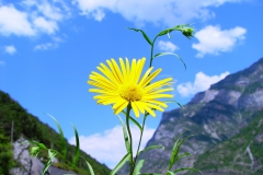 Schweiz