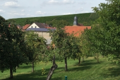 Main-Franken