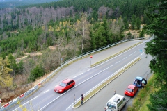 Bayrischer Wald