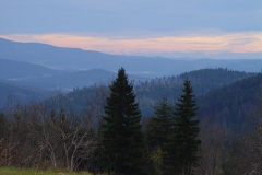 Bayrischer Wald