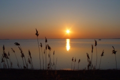 Ummanz/Rügen