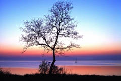 Ummanz/Rügen