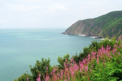 Wales