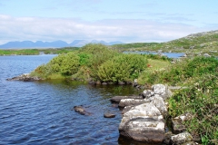 Irland, Ulys Haus