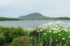 Irland