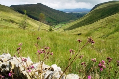 Irland