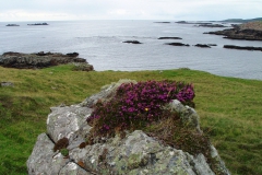 Irland
