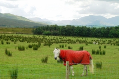 Irland