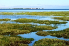Festland vor Lindisfarne. Warten auf Ebbe.