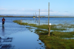 Festland vor Lindisfarne. Warten auf Ebbe.