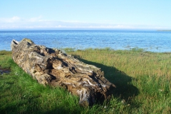 Festland vor Lindisfarne. Warten auf Ebbe.