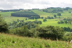 DSC00394