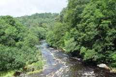 DSC00400