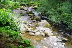 DSC00447