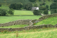 DSC00489