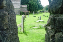DSC00520