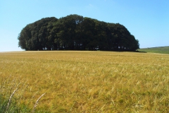 DSC09001