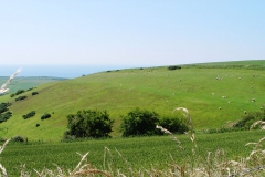 DSC09005