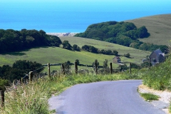 DSC09010