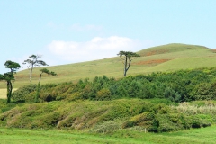 DSC09029