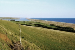 DSC09044