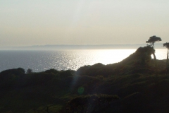 DSC09055