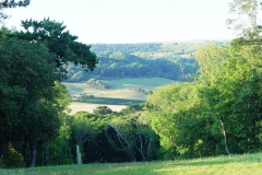 DSC09061