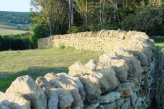 DSC09065