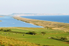 DSC09068