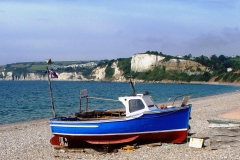 DSC09101