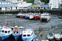 DSC09136