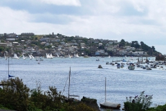 DSC09146