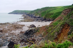 DSC09206
