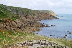DSC09271