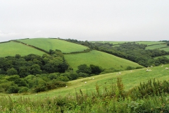 DSC09309