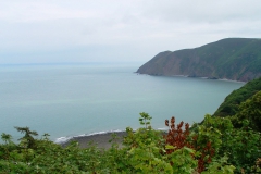 DSC09325
