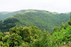 DSC09326