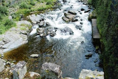 DSC09341