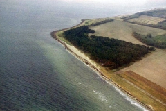Lagerplatz an der Waldkante auf der Insel Veirö