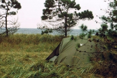 Mit Robin DR 300 D-EFLU auf der Insel Veirö, Lagerplatz am Waldrand