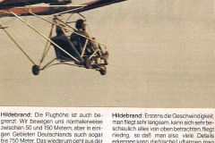 zeitungsartikel