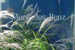 Für "Mercedes-Benz"